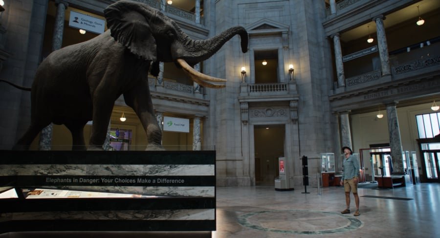 Dans la rotonde du Musée national d'histoire naturelle des États-Unis (Washington), Steve et Henry, le savant et le spécimen qui est à la fois archive et source de fantasme. | Blue Note Films