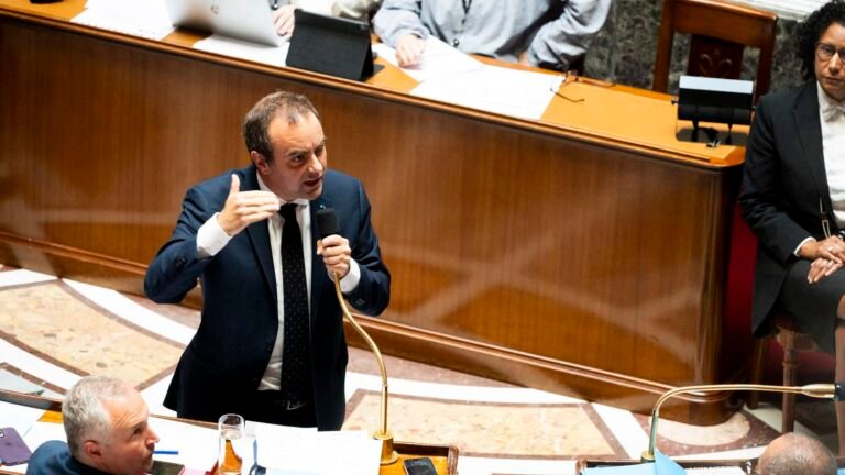 "C'est plus pour marquer le coup" : la motion de censure des Ecologistes a-t-elle des chances de renverser le gouvernement Lecornu ?