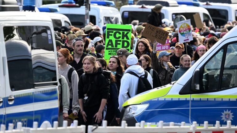 "Il est temps d’agir avant que l’AfD ne soit en mesure de gouverner seule" : en Allemagne, des militants antifascistes font du porte-à-porte contre l'extrême-droite