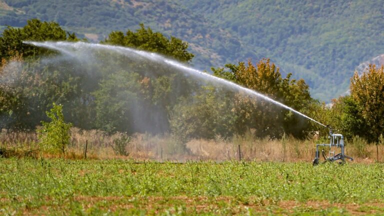 "Il y aura un risque de guerre de l'eau" en cas de passage du projet de la loi d'urgence agricole, selon la fédération des collectivités territoriales