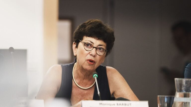 "L'écologie sera le budget le plus renforcé après celui des Armées" se réjouit la ministre de la Transition écologique avant le vote du projet de loi d'urgence agricole