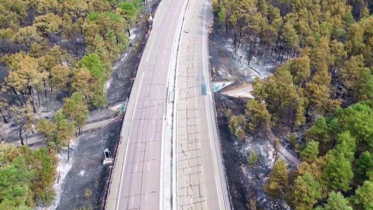 "Nos glissières de sécurité ont été soumises à des températures assez importantes" : l'A6, touchée par l'incendie, pourra-t-elle rouvrir ce week-end ?