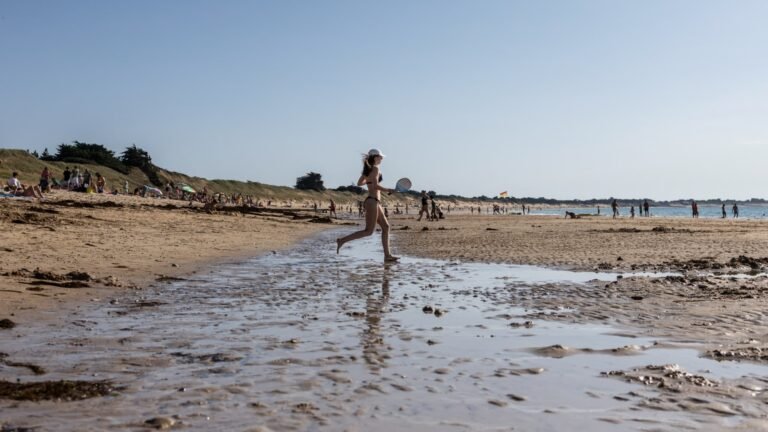 "On n'est pas le bronze-cul de l'Europe!": île de Ré, Biarritz, Oléron… L'Atlantique domine le classement des destinations maritimes estivales (et la canicule n'y est pas pour rien)