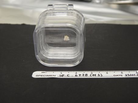 fragment de calcite, grotte ornée d\'Escoural (Portugal), contenant ADN humain