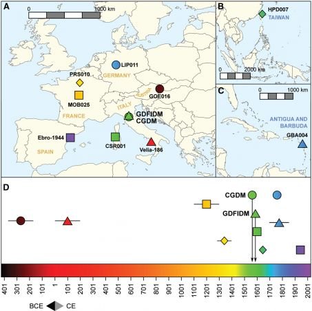 ADN ancien Plasmodium falciparum, cas de paludisme